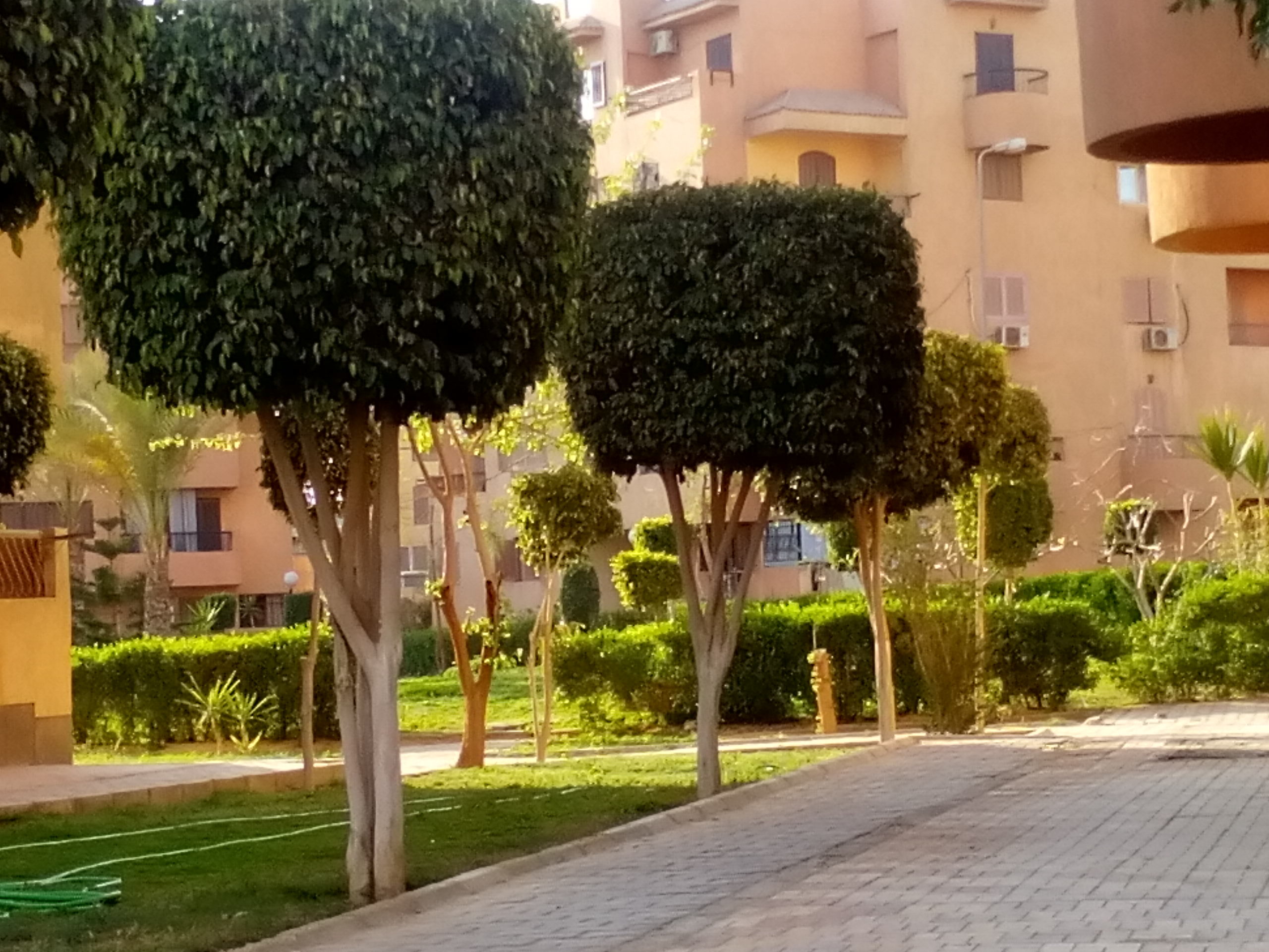 شقة مميزة للايجار 165م كمبوند البستان – ليفين سكوير المالك مباشر
