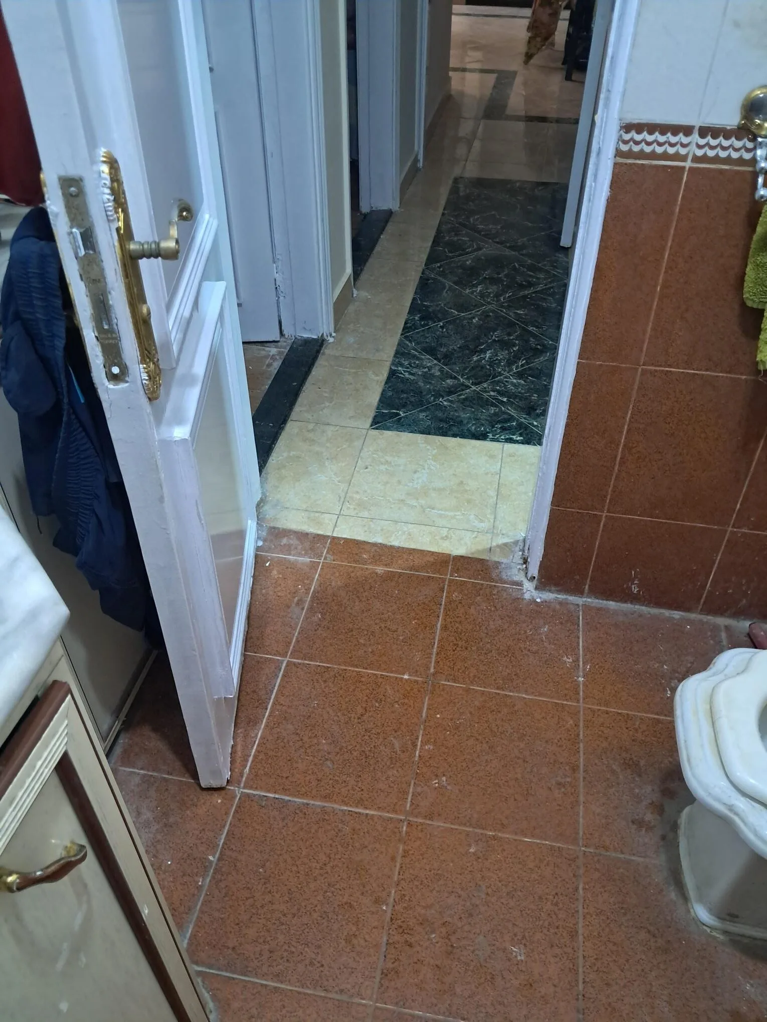 20240808_111946 Fully Furnished Flat to Rent in Dokki Giza, Egypt